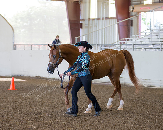 AHANC_Show18_ThursAM_0031