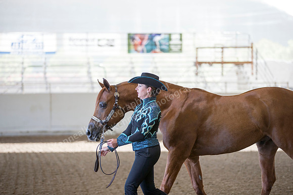AHANC_Show18_ThursAM_0033
