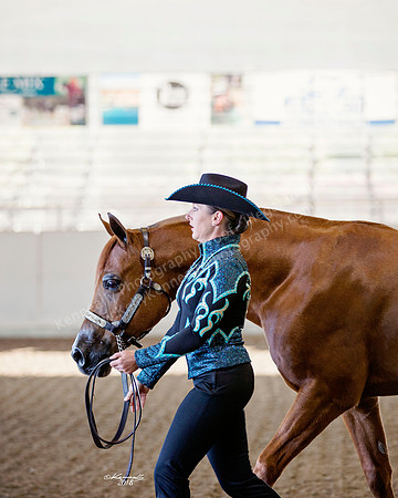 AHANC_Show18_ThursAM_0034