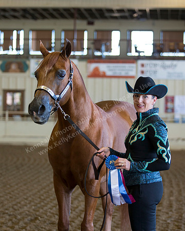 AHANC_Show18_ThursAM_0041