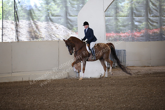 AHANC_Show18_ThursPM_464