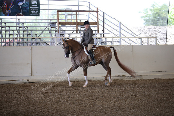 AHANC_Show18_ThursPM_492
