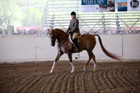 AHANC_Show18_ThursPM_493