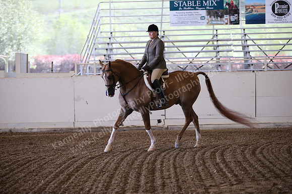 AHANC_Show18_ThursPM_493