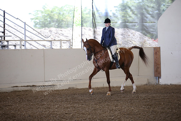 AHANC_Show18_ThursPM_496