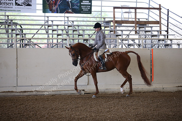 AHANC_Show18_ThursPM_469