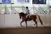 AHANC_Show18_ThursPM_470