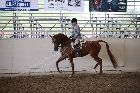 AHANC_Show18_ThursPM_470