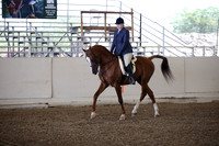 AHANC_Show18_ThursPM_497
