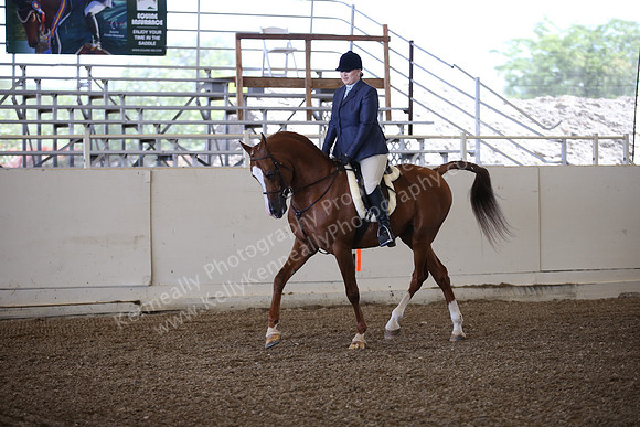 AHANC_Show18_ThursPM_497