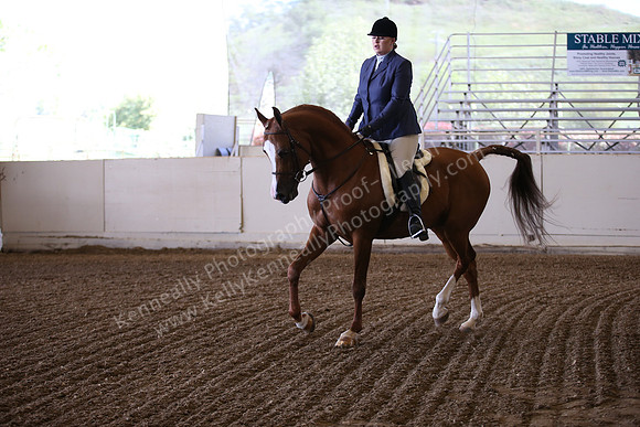 AHANC_Show18_ThursPM_498