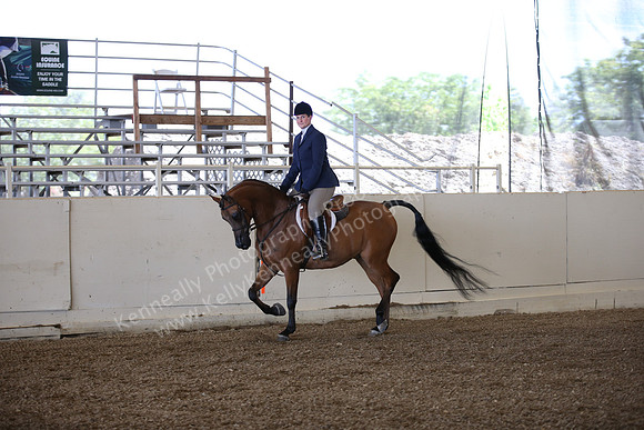 AHANC_Show18_ThursPM_500