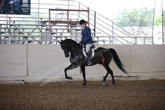 AHANC_Show18_ThursPM_472