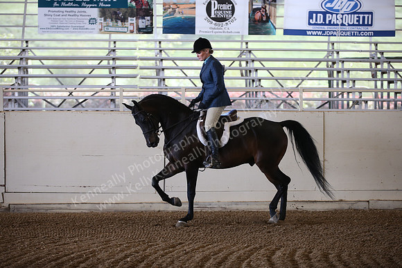 AHANC_Show18_ThursPM_473