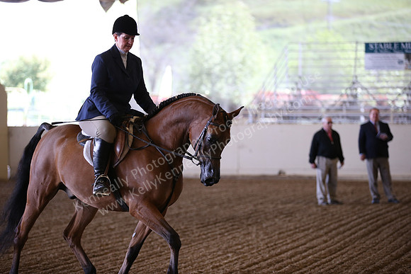 AHANC_Show18_ThursPM_502
