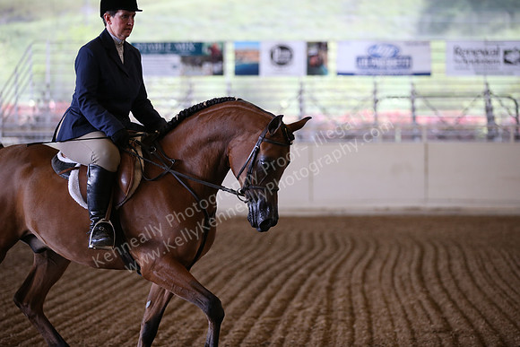 AHANC_Show18_ThursPM_503