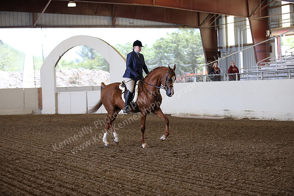AHANC_Show18_ThursPM_504