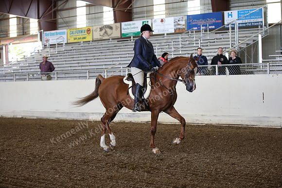 AHANC_Show18_ThursPM_506
