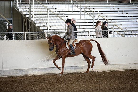 AHANC_Show18_ThursPM_479