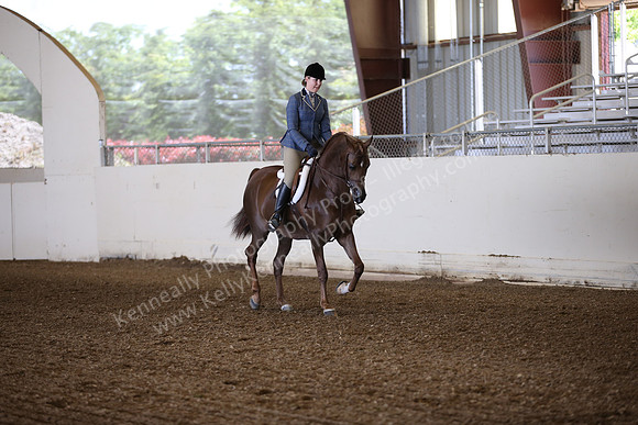 AHANC_Show18_ThursPM_508