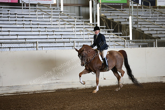 AHANC_Show18_ThursPM_482