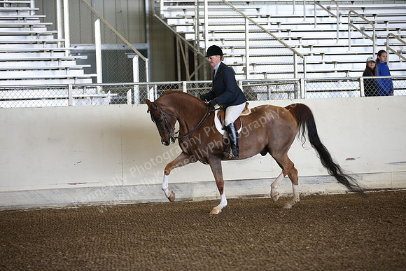 AHANC_Show18_ThursPM_483