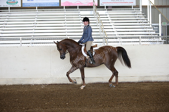 AHANC_Show18_ThursPM_517