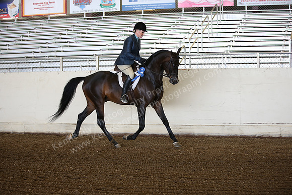 AHANC_Show18_ThursPM_489
