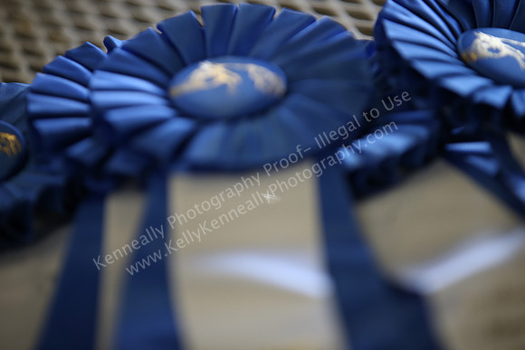 AHANC_Show18_ThursPM_518
