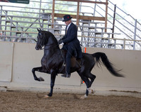 AHANC_Show18_ThursPM_520 copy