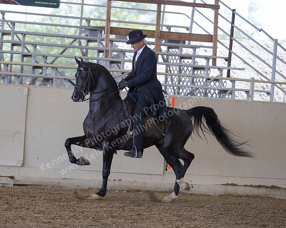 AHANC_Show18_ThursPM_520 copy
