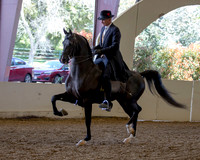 AHANC_Show18_ThursPM_521 copy