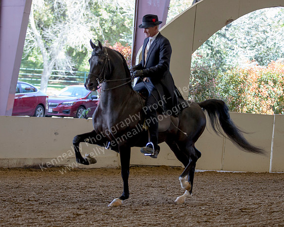 AHANC_Show18_ThursPM_521 copy
