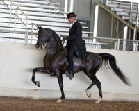 AHANC_Show18_ThursPM_525 copy