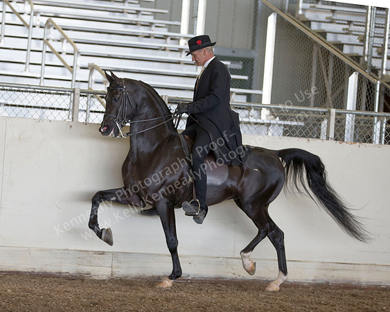 AHANC_Show18_ThursPM_525 copy