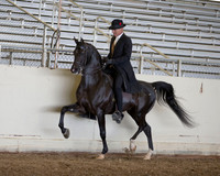 AHANC_Show18_ThursPM_524 copy