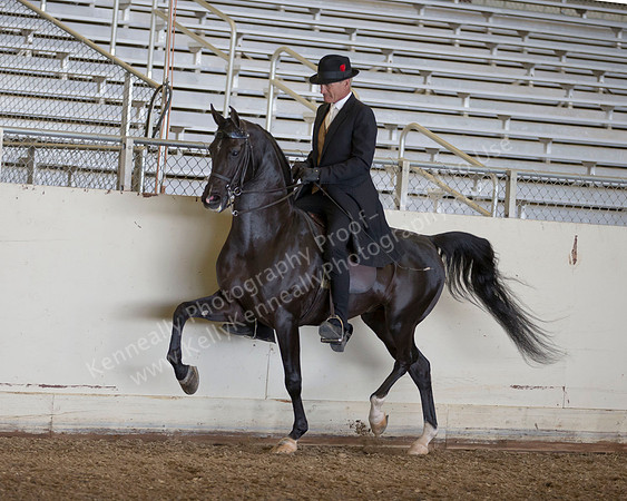 AHANC_Show18_ThursPM_524 copy
