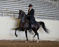 AHANC_Show18_ThursPM_523 copy