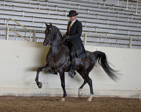 AHANC_Show18_ThursPM_523 copy