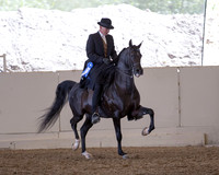 AHANC_Show18_ThursPM_528 copy