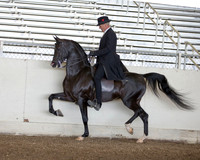 AHANC_Show18_ThursPM_526 copy