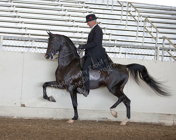 AHANC_Show18_ThursPM_526 copy