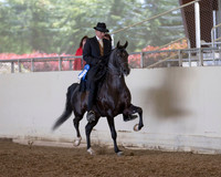 AHANC_Show18_ThursPM_532 copy