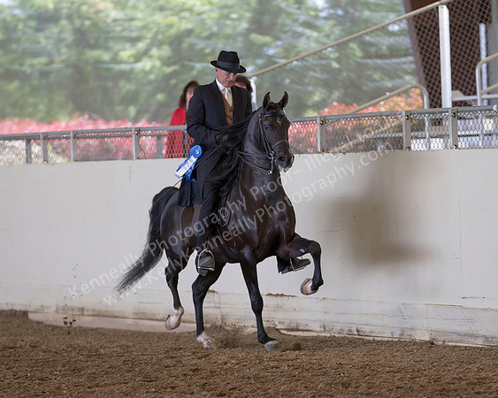 AHANC_Show18_ThursPM_532 copy
