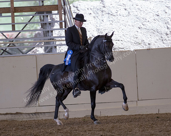 AHANC_Show18_ThursPM_527 copy