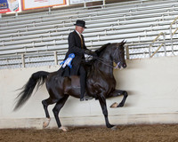 AHANC_Show18_ThursPM_538 copy