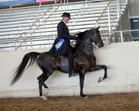 AHANC_Show18_ThursPM_539 copy