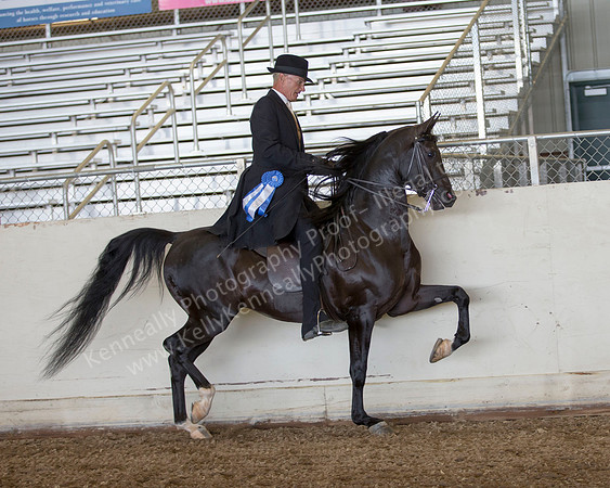 AHANC_Show18_ThursPM_539 copy