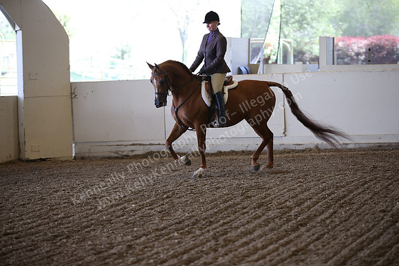 AHANC_Show18_ThursPM_543