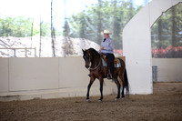 Class 23 Arabian Western Pl- Geldings